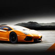 DISK BRAKE D290-0011-R